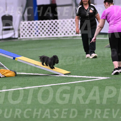 Murphy-Janice-Bourell-Casey-26208