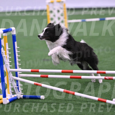 Nico-Bonita-Botteri-28721