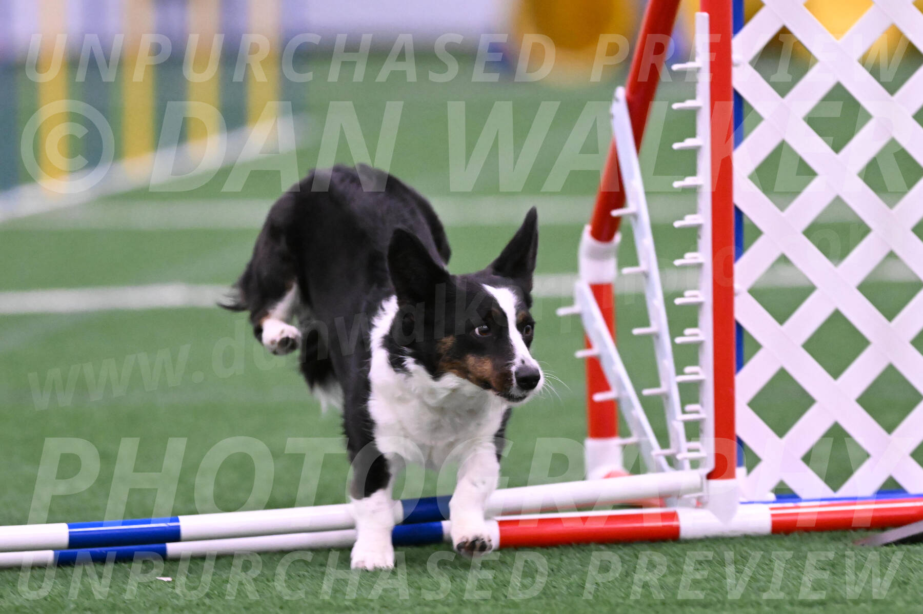 Olivia-Sarah-Friedlander-26456