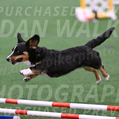 Stella-Debra-Wigal-01456