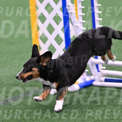 Stella-Debra-Wigal-01459