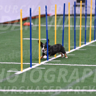 Stella-Debra-Wigal-01465