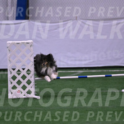 Onyx-Carol-Currier-04458