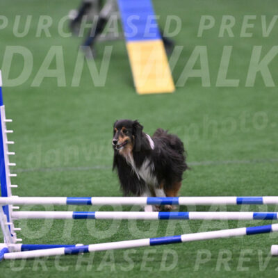 Onyx-Carol-Currier-04488