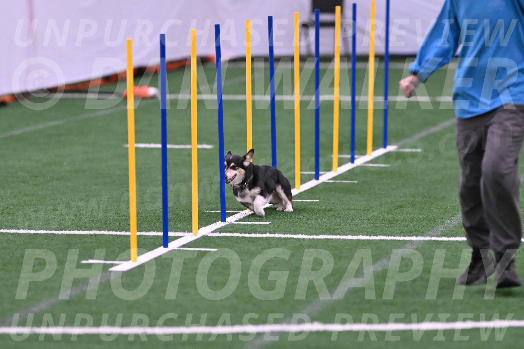Ozzie-Judy-Roback-02222