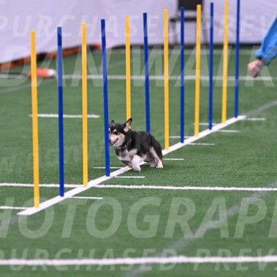 Ozzie-Judy-Roback-02222