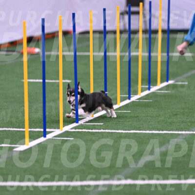 Ozzie-Judy-Roback-02223