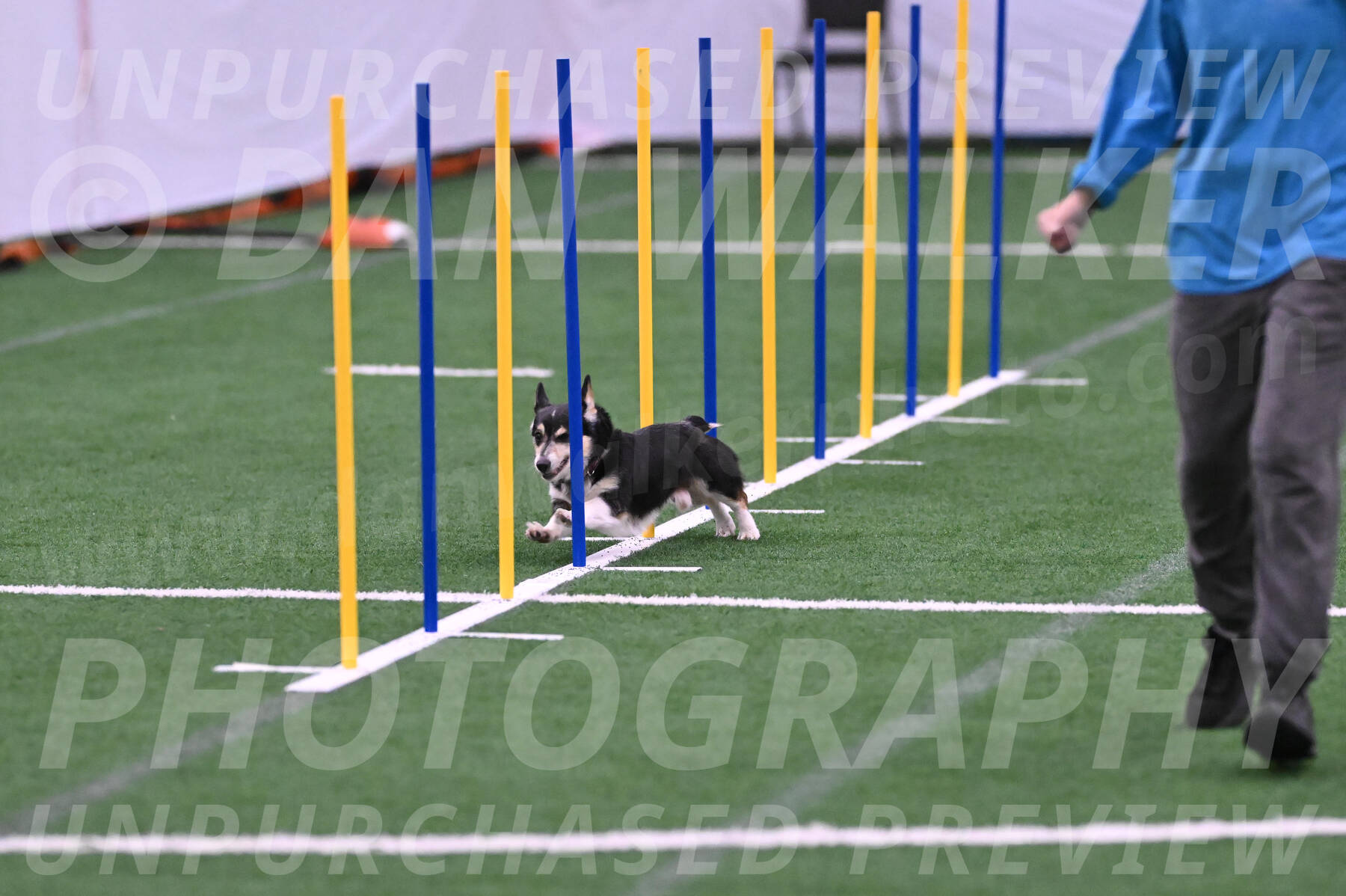 Ozzie-Judy-Roback-02223