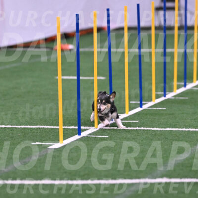 Ozzie-Judy-Roback-02226