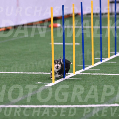Ozzie-Judy-Roback-02231