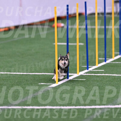 Ozzie-Judy-Roback-02232