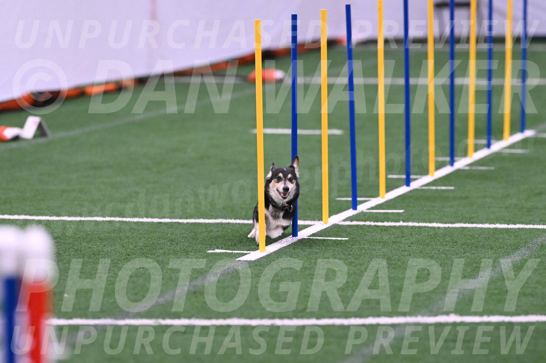 Ozzie-Judy-Roback-02232