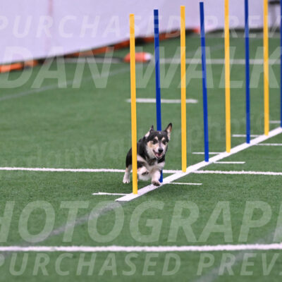 Ozzie-Judy-Roback-02233