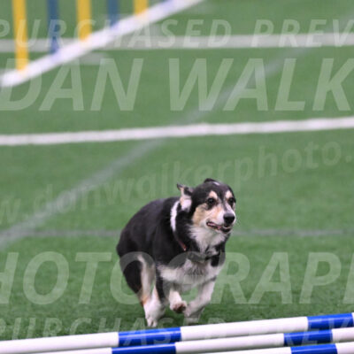 Ozzie-Judy-Roback-02235
