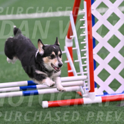 Ozzie-Judy-Roback-02239