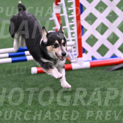 Ozzie-Judy-Roback-02240