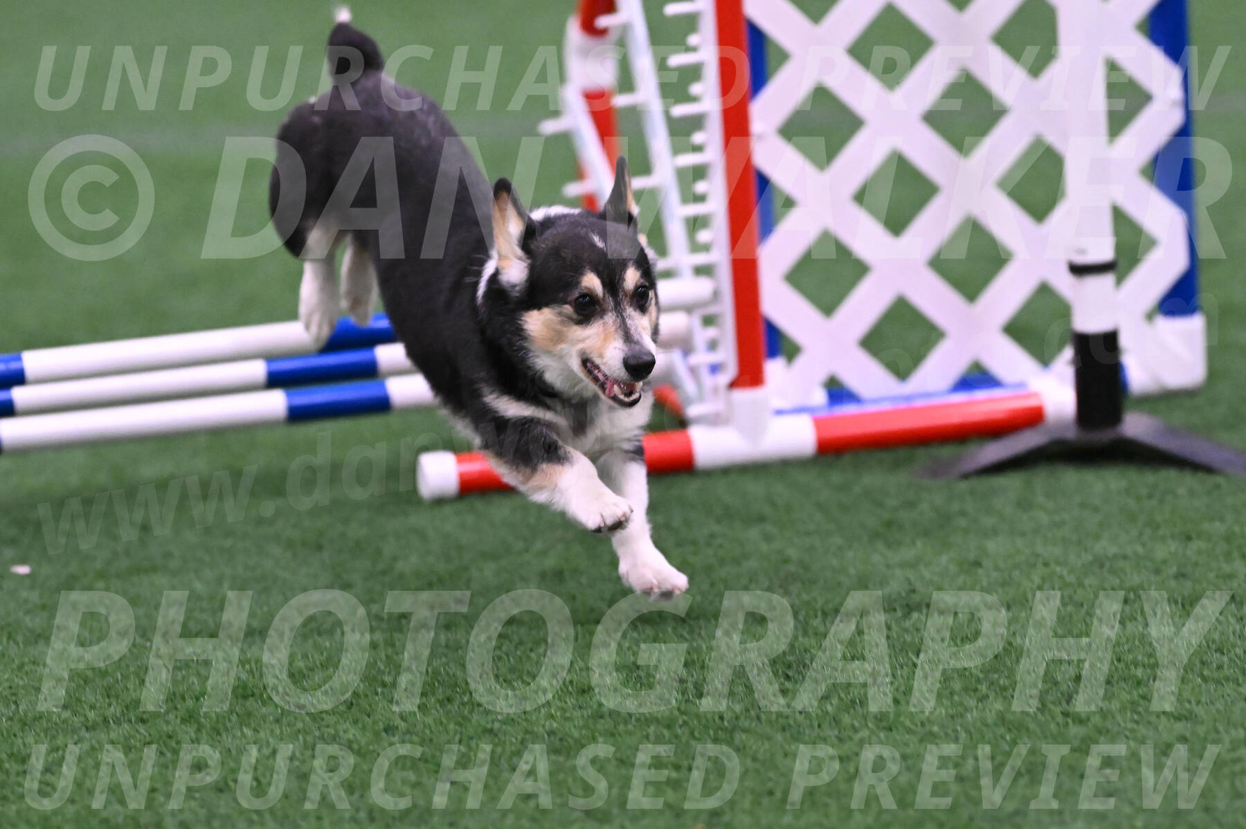 Ozzie-Judy-Roback-02240