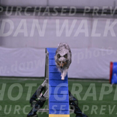 Peak-Shane-Gant-05767