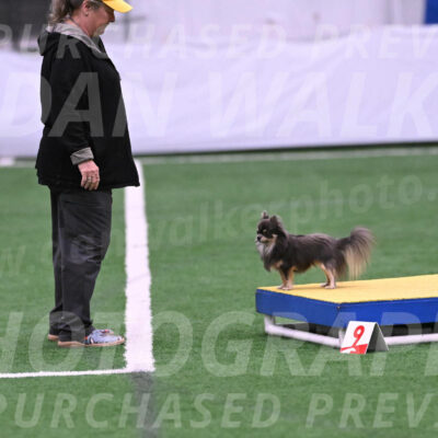 Pedro-Jeanne-Fogarty-19275