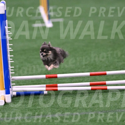 Pedro-Jeanne-Fogarty-19294