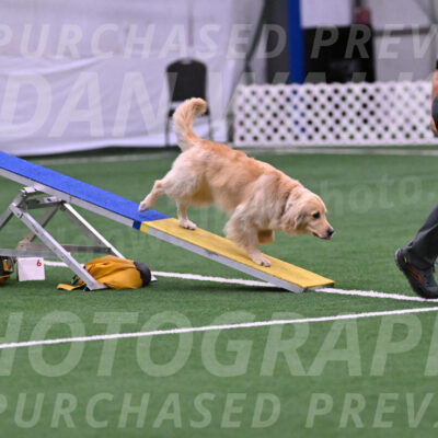Perry-Steve-Dori-Likevich-12022