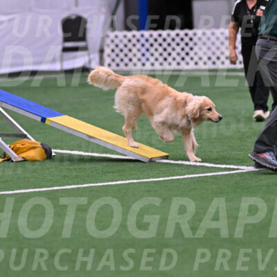 Perry-Steve-Dori-Likevich-12024