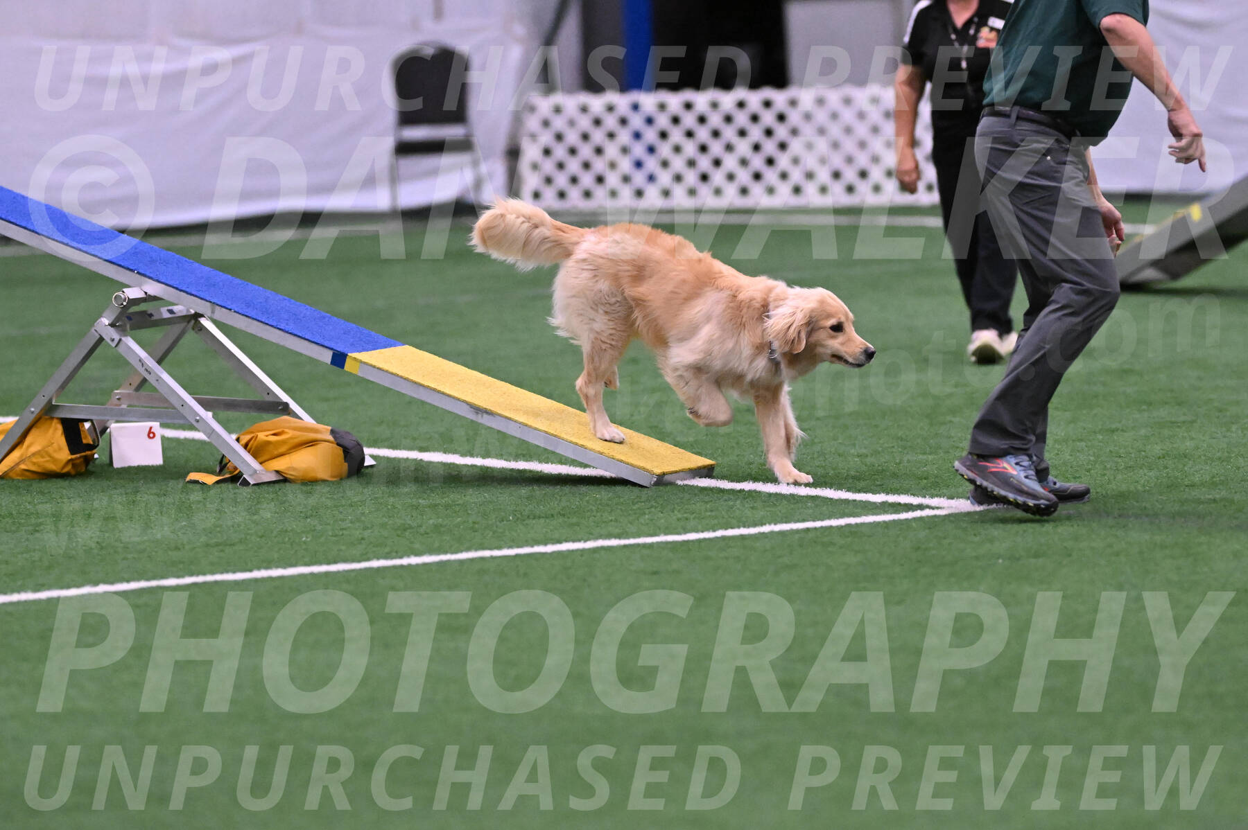 Perry-Steve-Dori-Likevich-12024