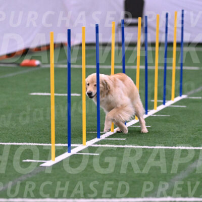 Perry-Steve-Dori-Likevich-12051