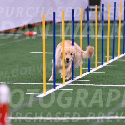 Perry-Steve-Dori-Likevich-12055