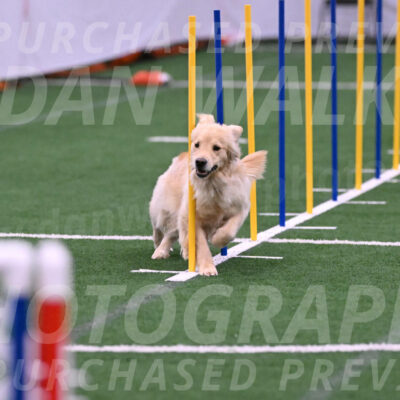 Perry-Steve-Dori-Likevich-12062