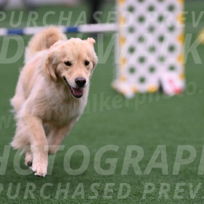 Perry-Steve-Dori-Likevich-12091
