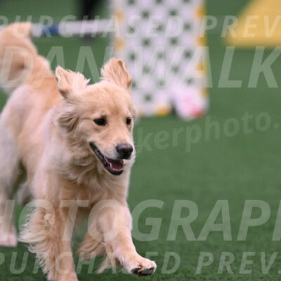 Perry-Steve-Dori-Likevich-12093