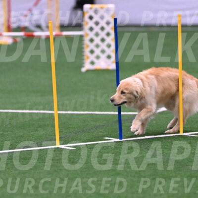 Perry-Steve-Dori-Likevich-12113