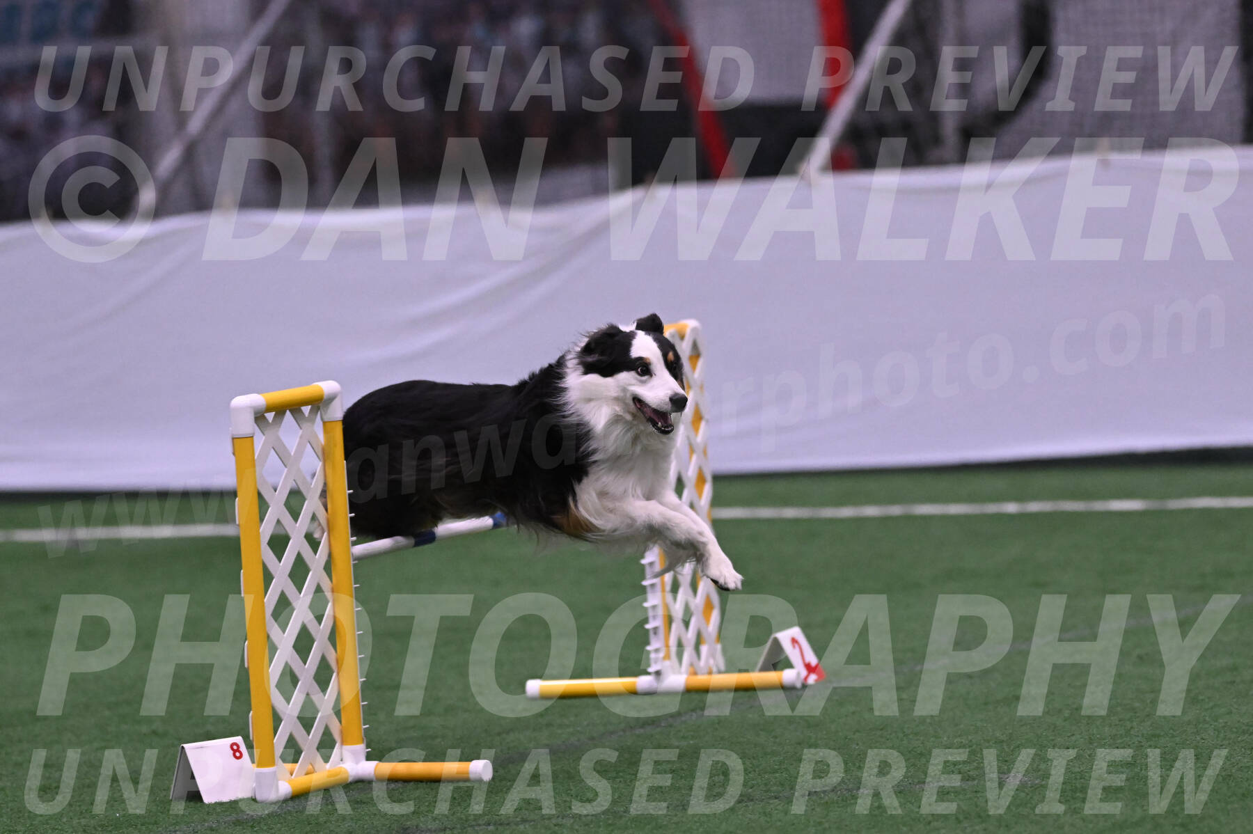 Phoenix-Anita-Selent-00942
