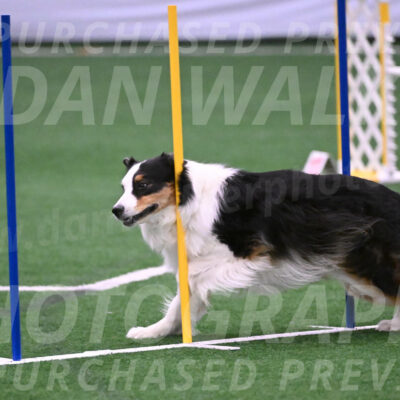 Phoenix-Anita-Selent-01007