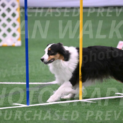 Phoenix-Anita-Selent-01008