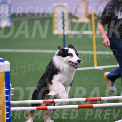 Phoenix-Anita-Selent-01014