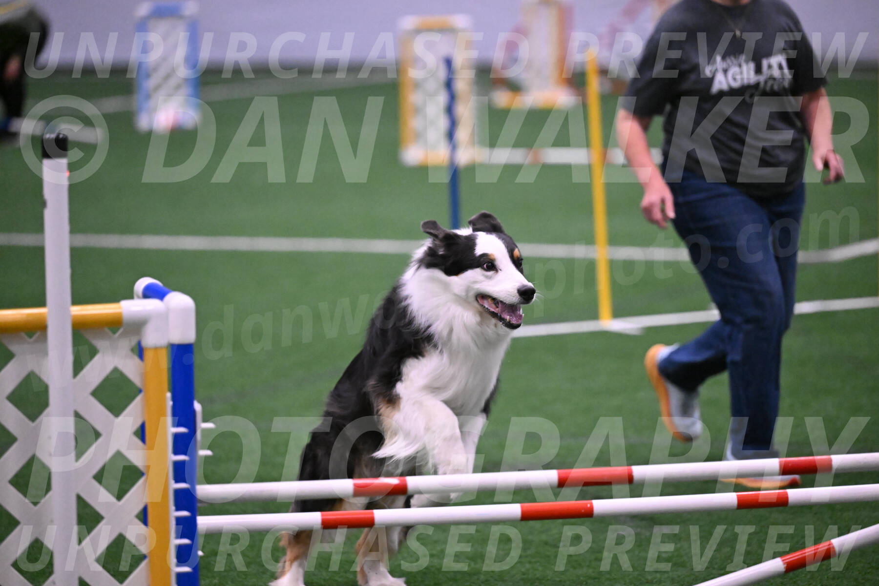 Phoenix-Anita-Selent-01014