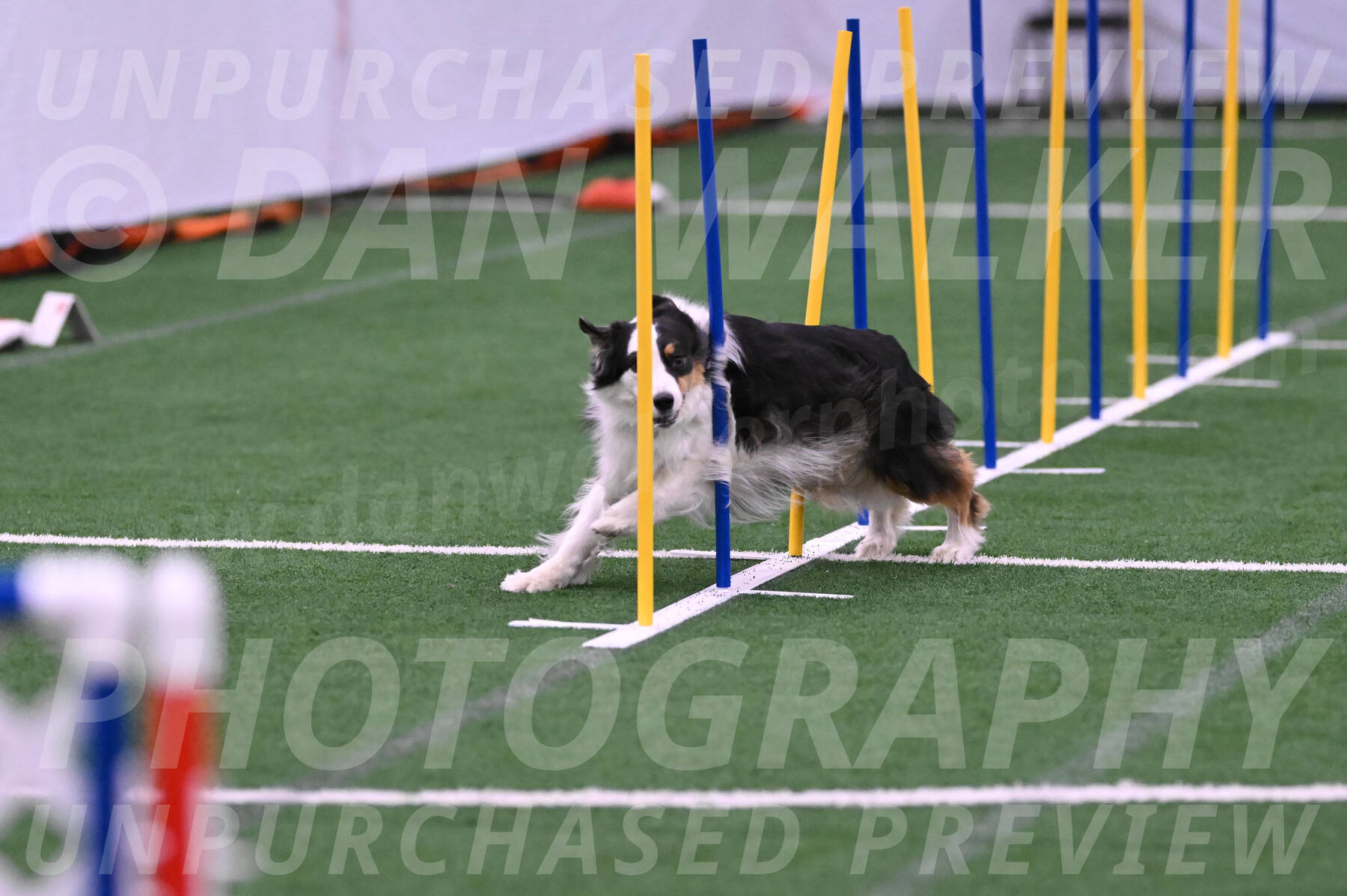 Phoenix-Anita-Selent-R-00792