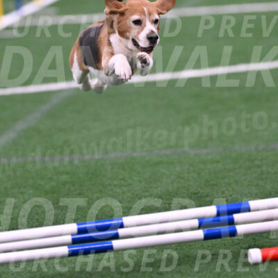 Preston-Debra-Wigal-27282