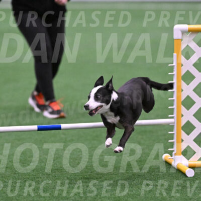 Prime-Time-Nicole-Paloney-27416