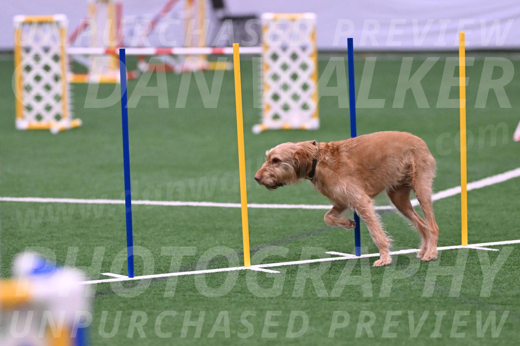 Quincy-Caryn-Mills-14920