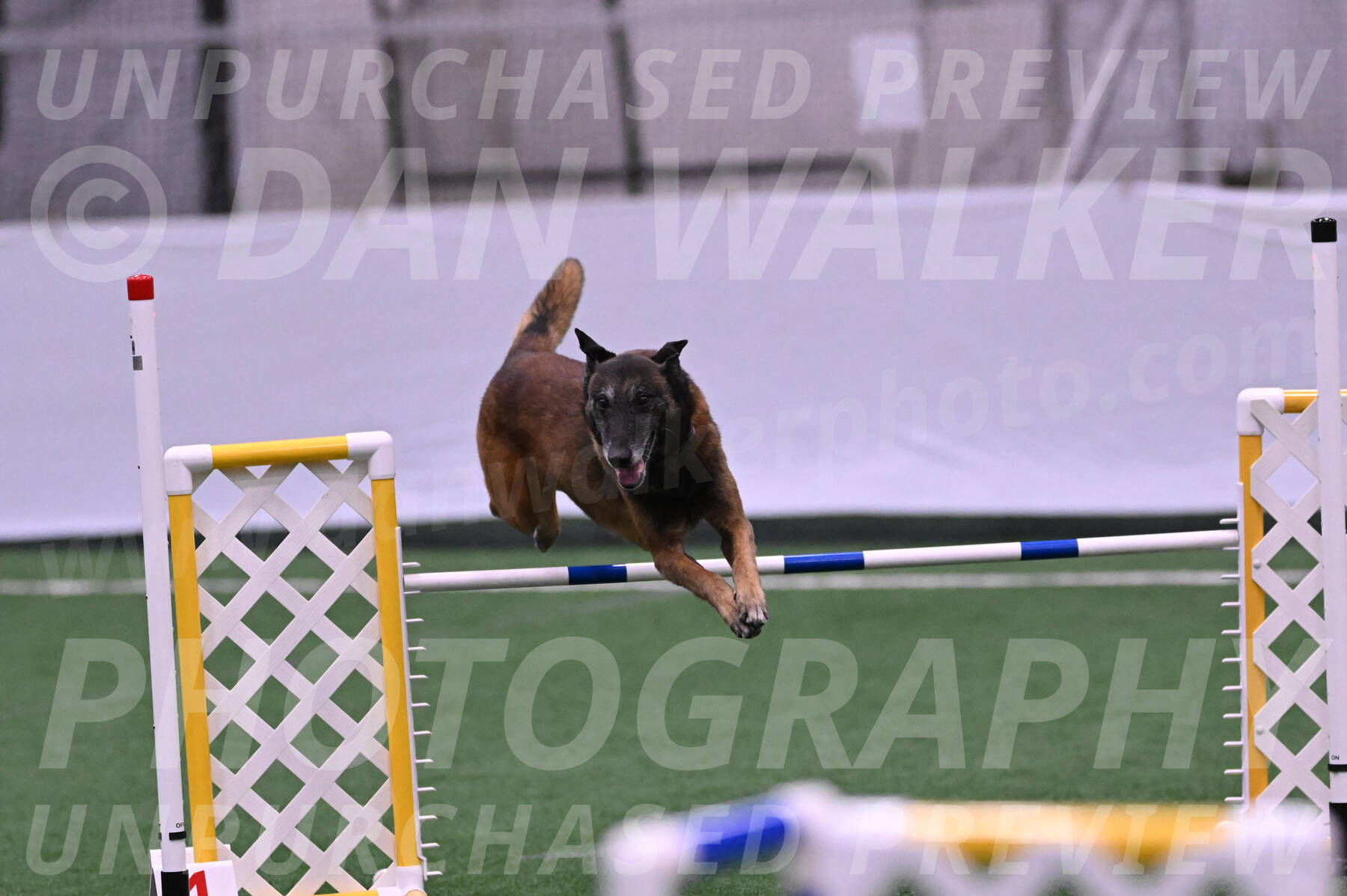 Raylan-Janet-Lasater-17642