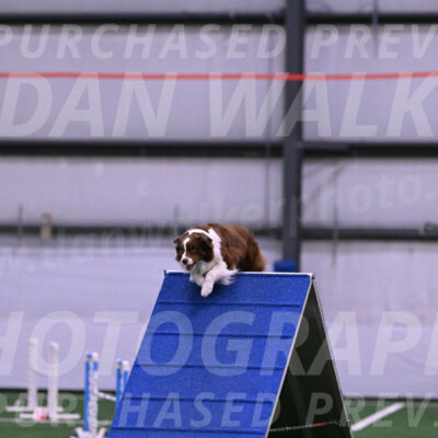 Reece-Kelly-Warner-09673