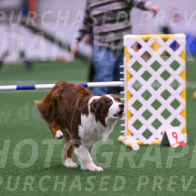 Reece-Kelly-Warner-09733