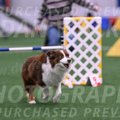 Reece-Kelly-Warner-09734