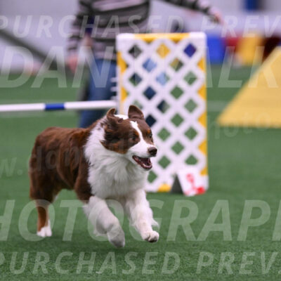 Reece-Kelly-Warner-09735