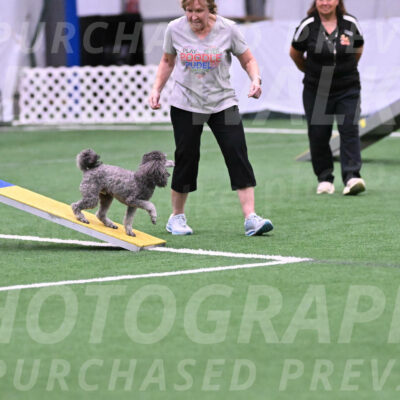 Reign-Laurie-Mueller-08298