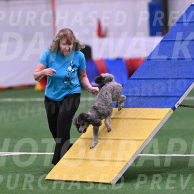 Reign-Laurie-Mueller-08357