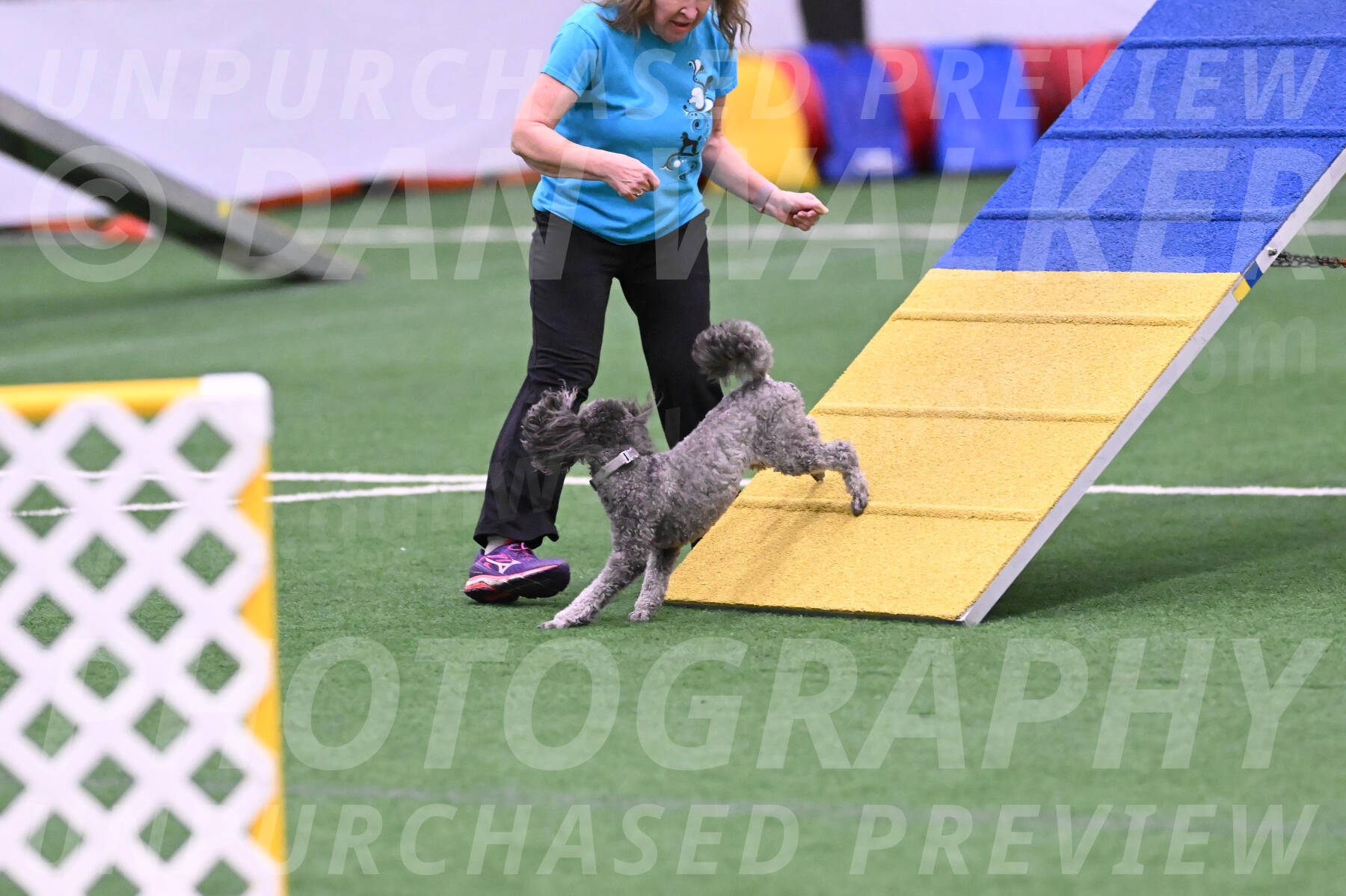 Reign-Laurie-Mueller-08361